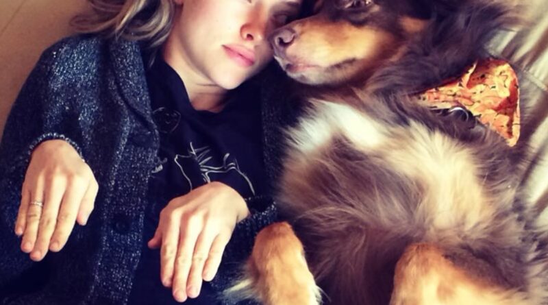Amanda Seyfried Shares Death of Dog Finn